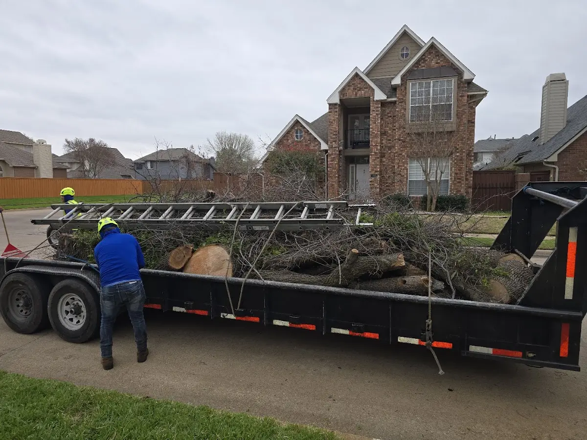Expert Tree Fertilization with proper safety equipment in Bothell